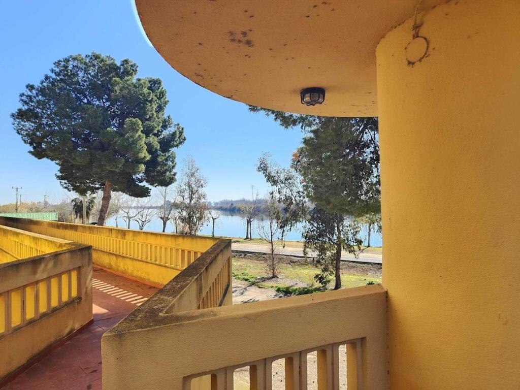 Superbe Appartement Terrasse Entierement Renove Au Bord De L'Ebre Deltebre Exterior photo